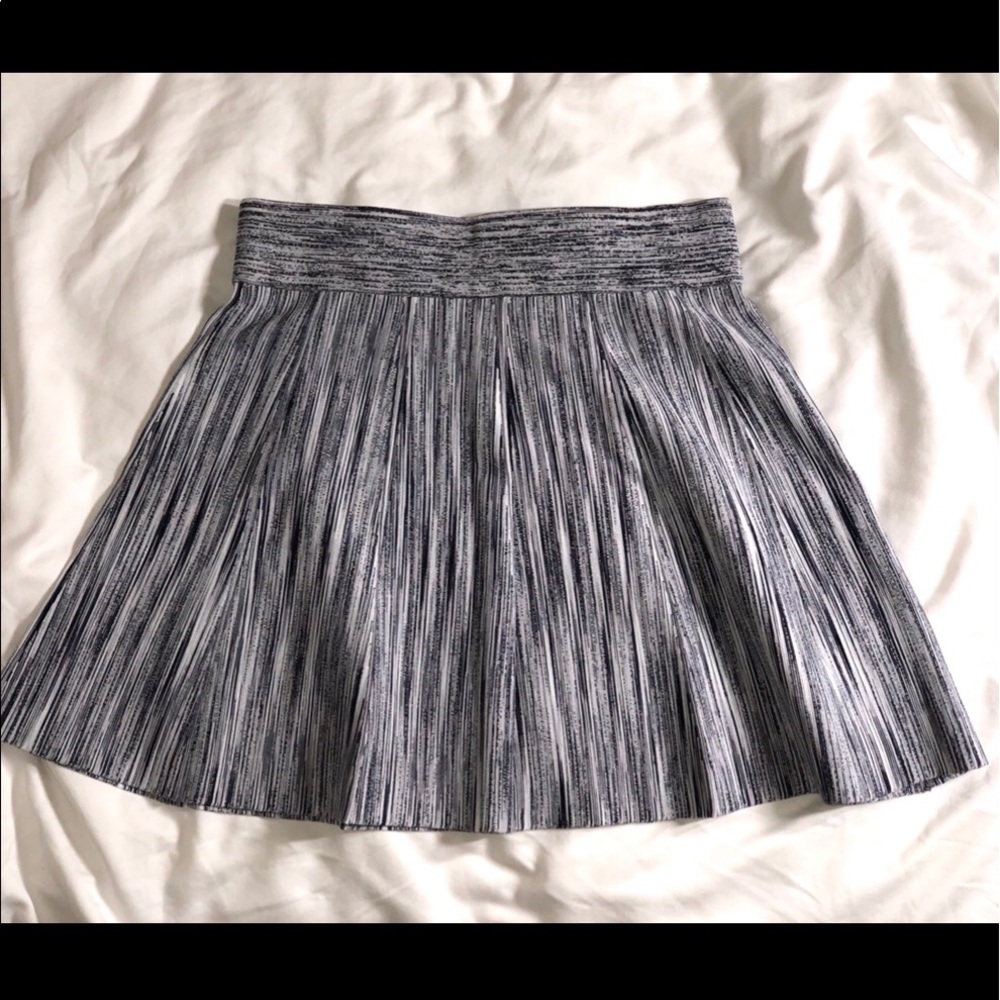 Club Monaco Skirt